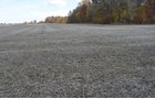 Property photo 26 - 75.3 Acres Offered in 2 Tracts